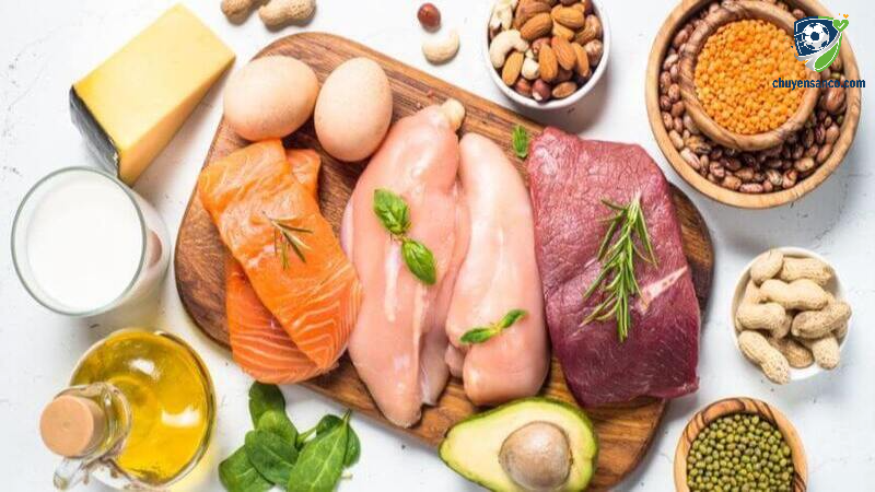 Protein giúp phục hồi cơ bắp