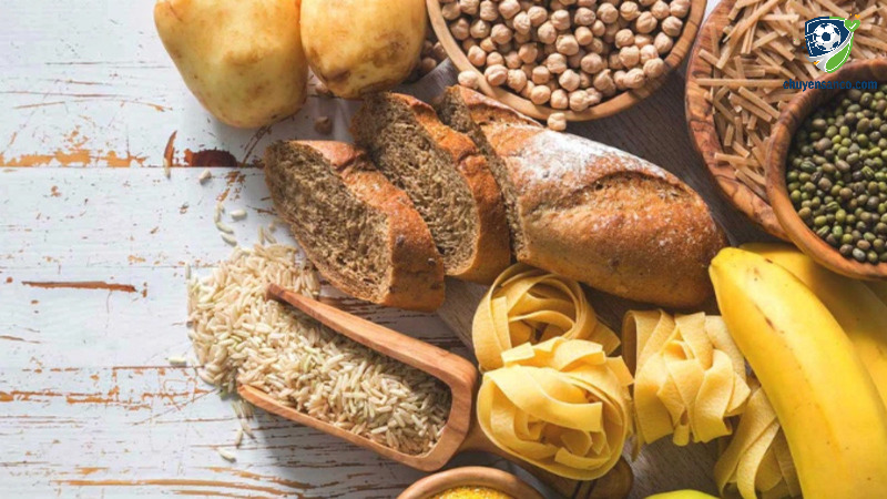 Tinh bột cung cấp năng lượng