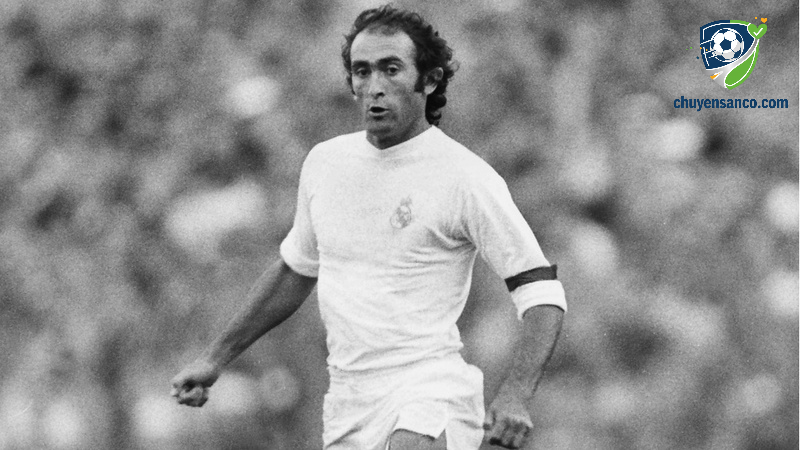 Tiền vệ trung tâm Pirri